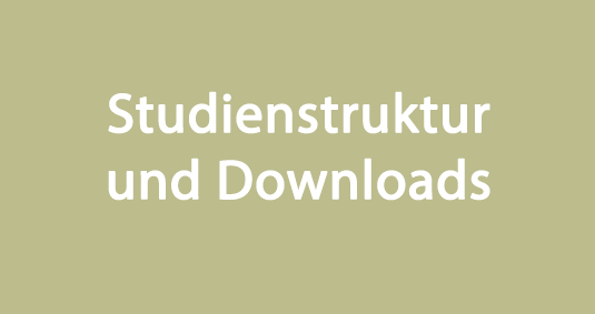 Link zu Studienstruktur und Downloads